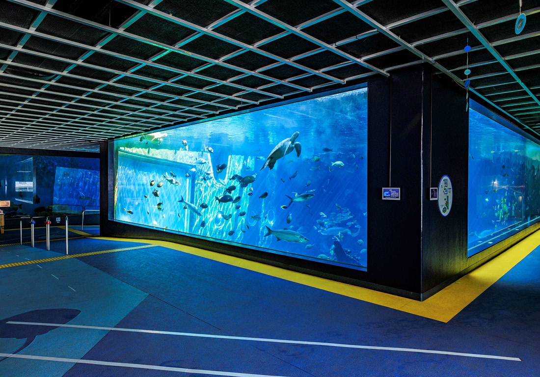 【最大200円割引】箱根園水族館