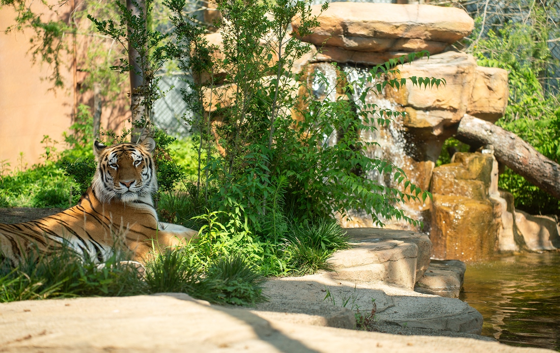 那須どうぶつ王国