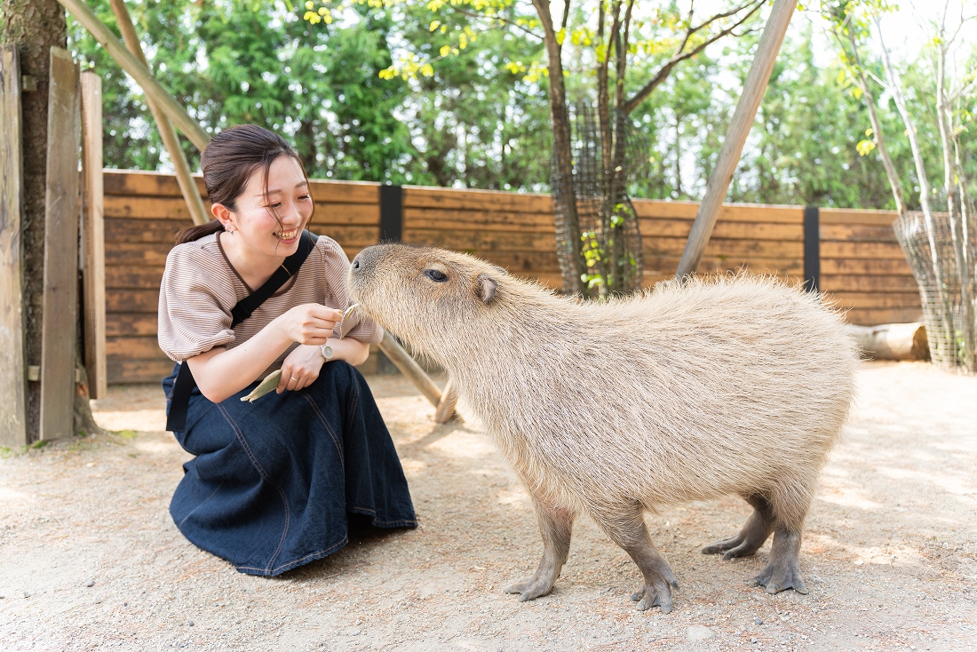 那須どうぶつ王国