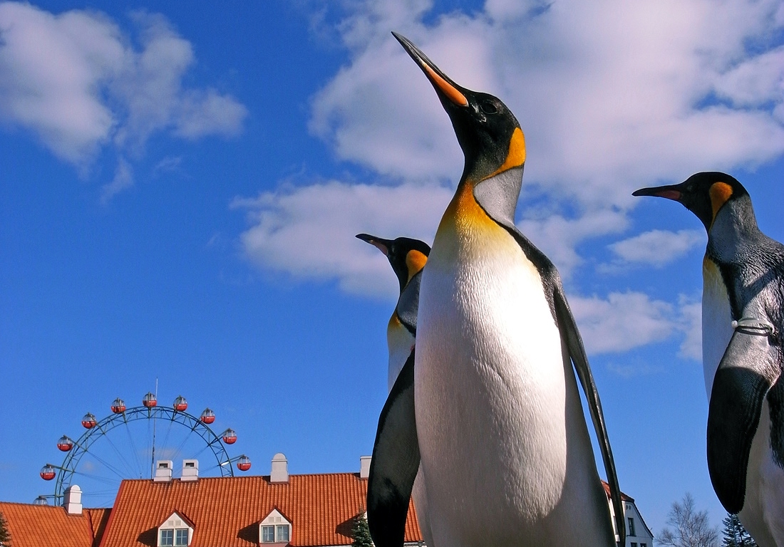 ペンギンパレード