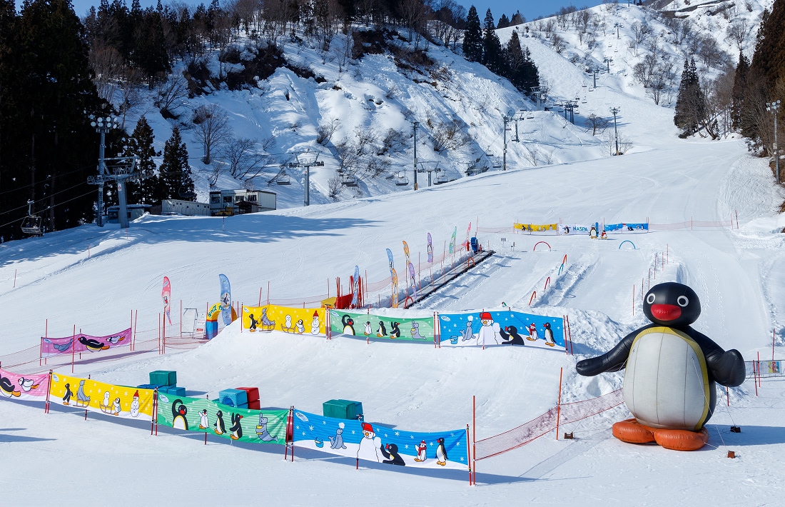 ＮＡＳＰＡスキーガーデン