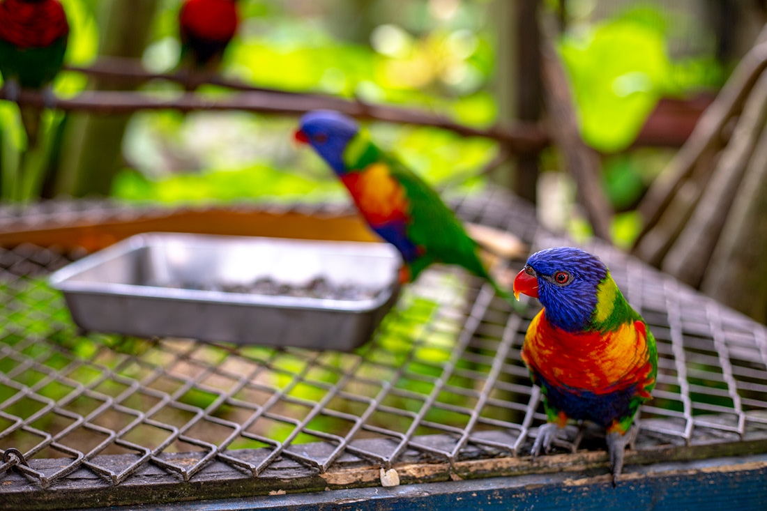 OKINAWAフルーツらんど