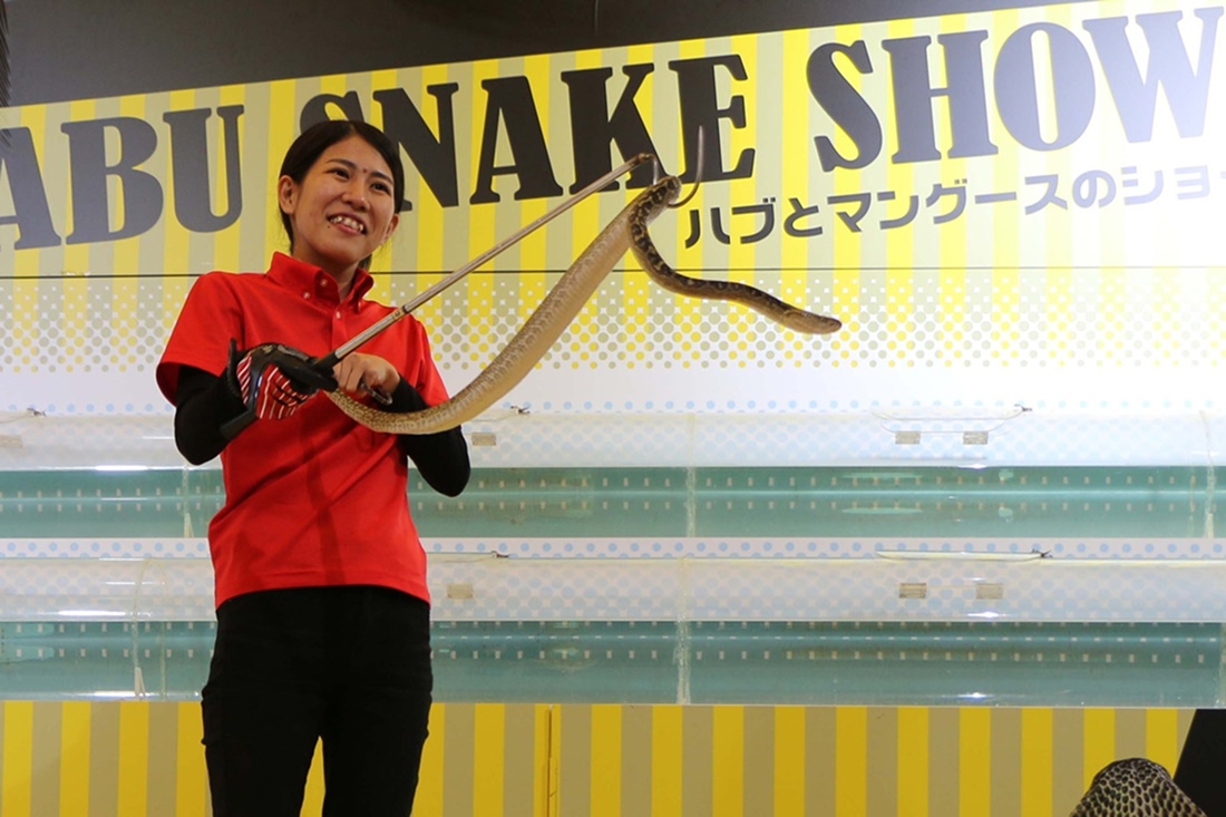 おきなわワールド