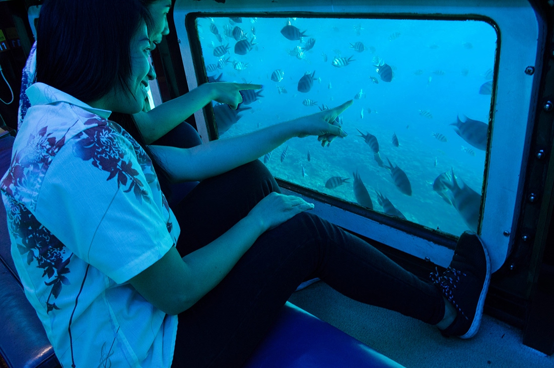 水中観光船オルカ号