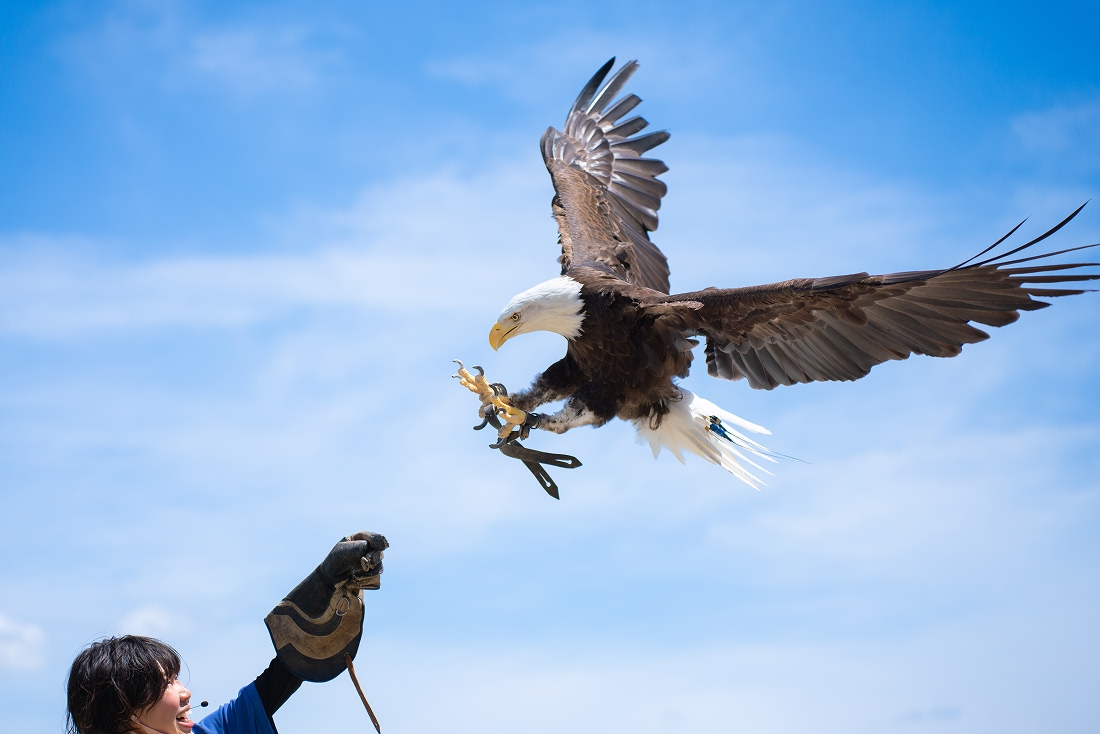 那須どうぶつ王国