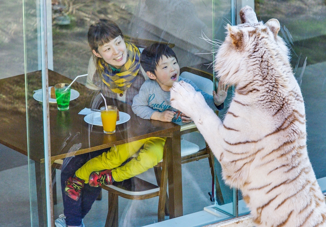 伊豆アニマルキングダム