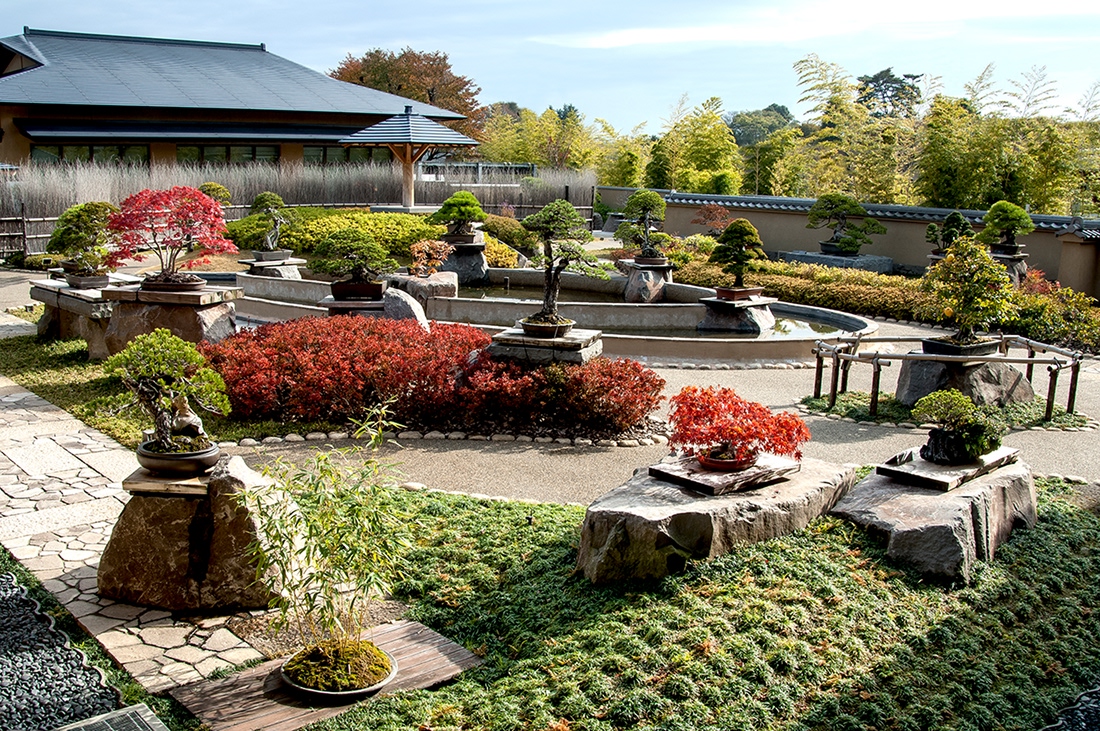 【100円割引】さいたま市大宮盆栽美術館