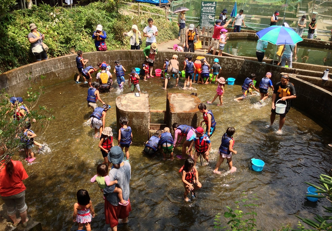 【100円割引】しゃくなげの森