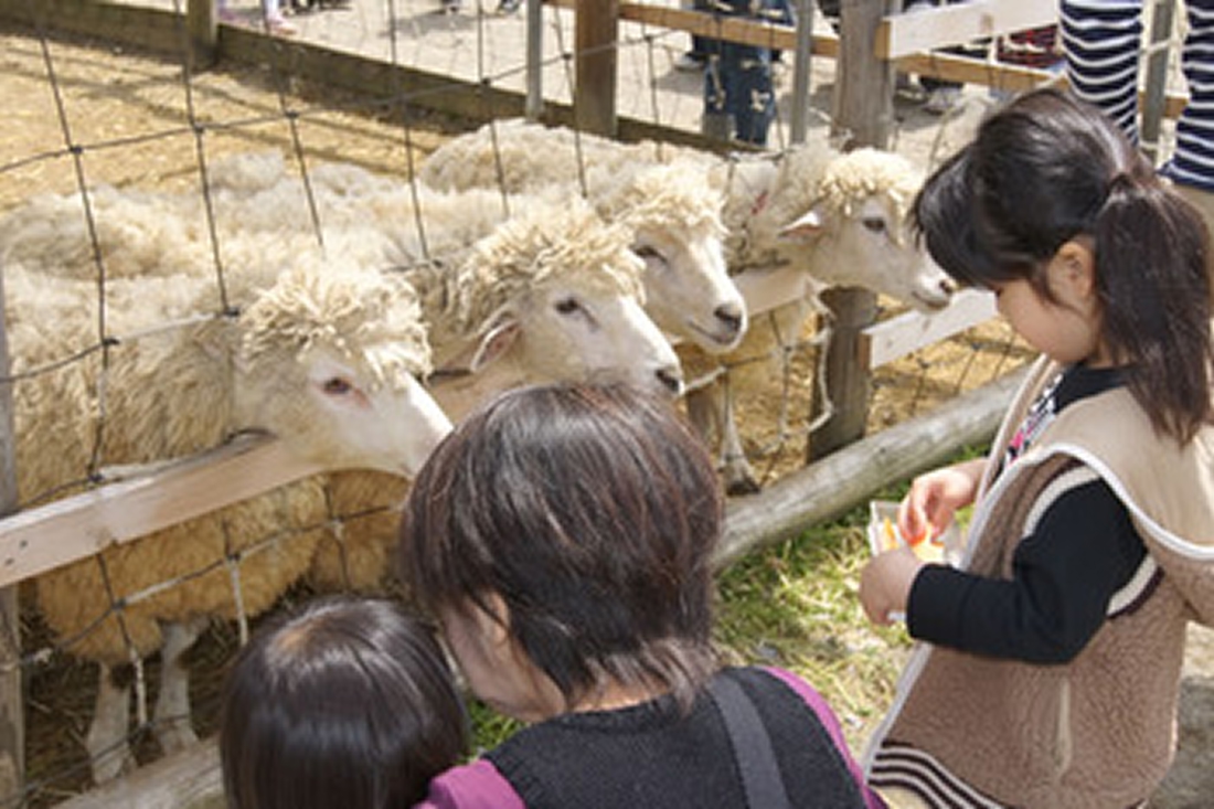 【50%割引】アグリパーク竜王