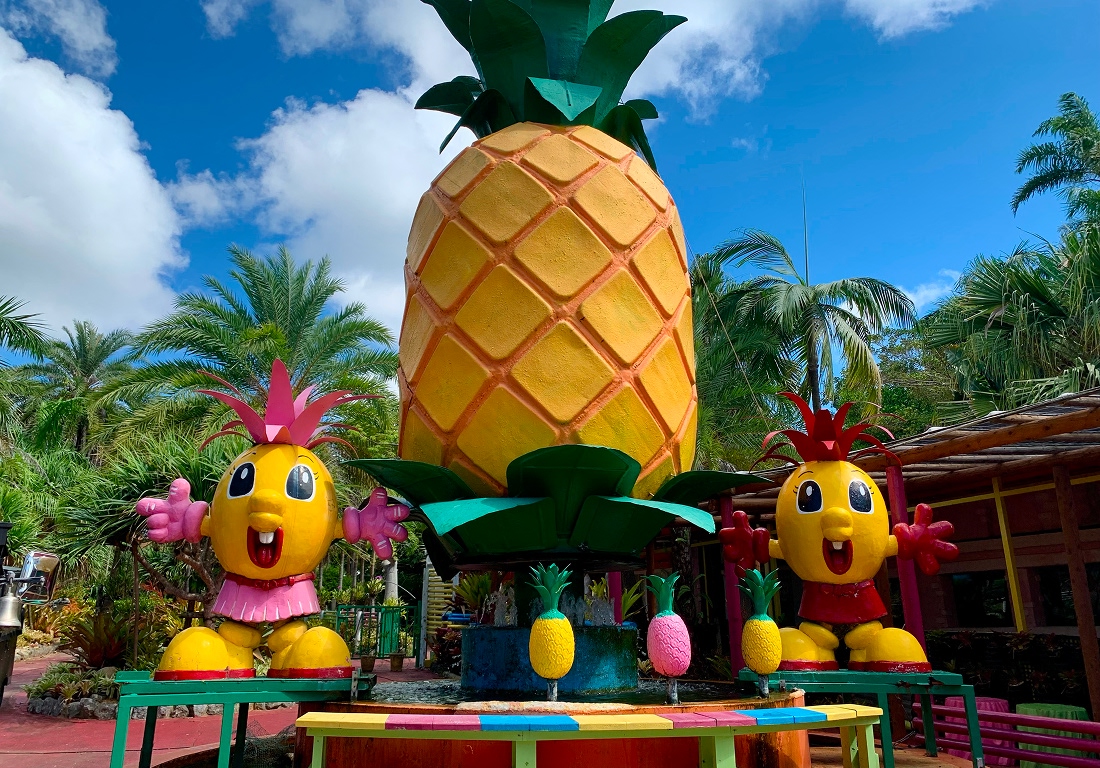 【特典】ナゴパイナップルパーク