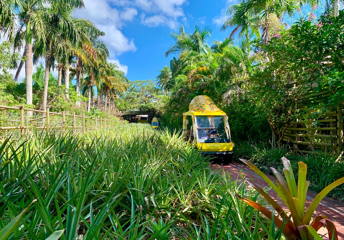 ナゴパイナップルパーク