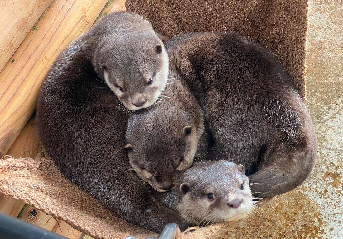 伊豆・三津シーパラダイス