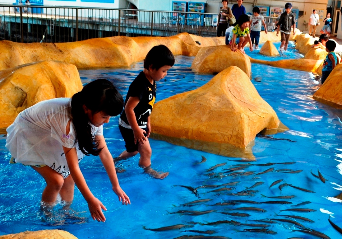 伊豆・三津シーパラダイス