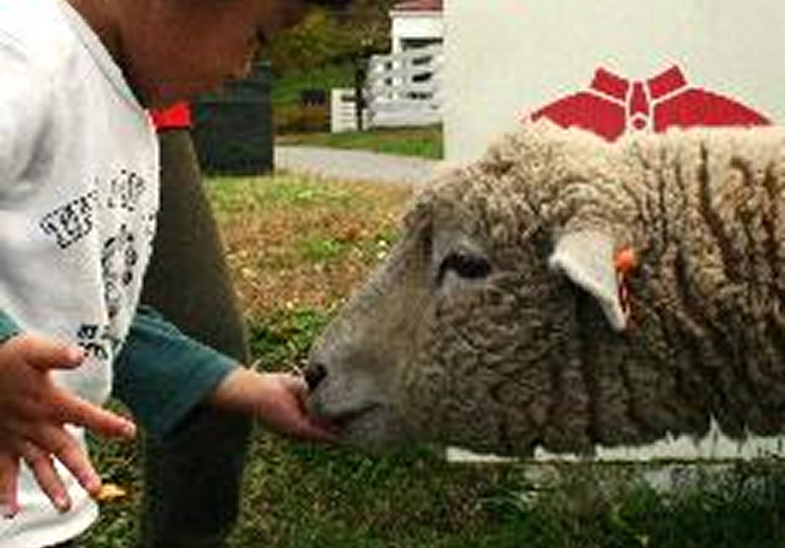 【100円割引】伊香保グリーン牧場