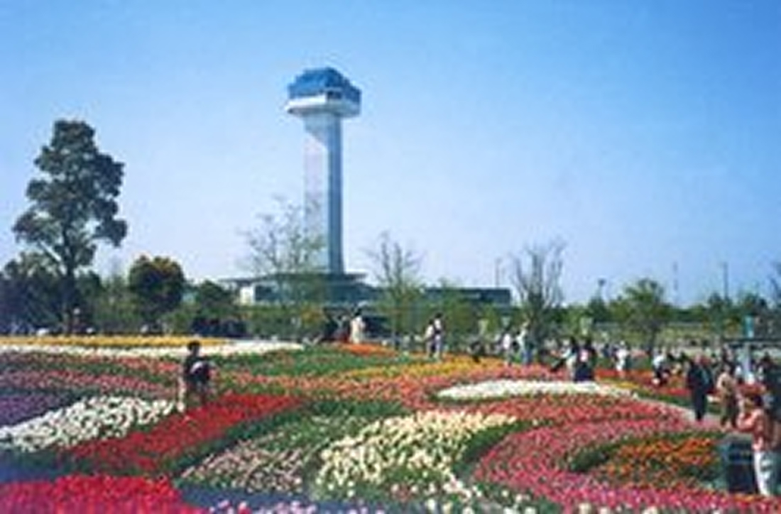 【120円割引】国営木曽三川公園水と緑の館・展望タワー