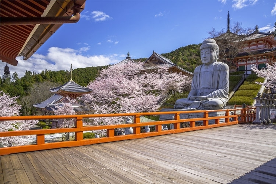 【100円割引】壺阪寺