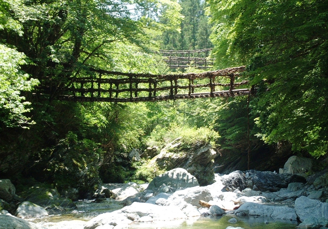 【最大50円割引】奥祖谷二重かずら橋