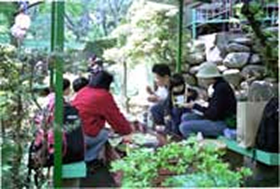 【100円割引】東丹沢グリーンパーク