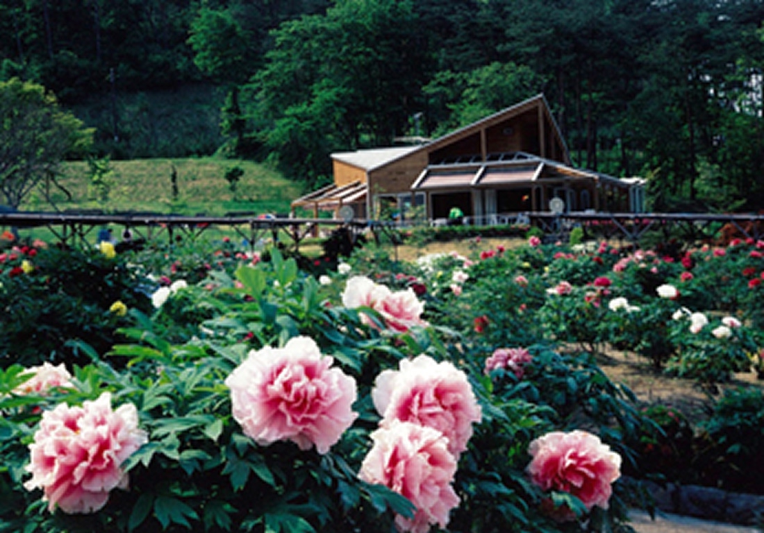 【10％割引】花と泉の公園