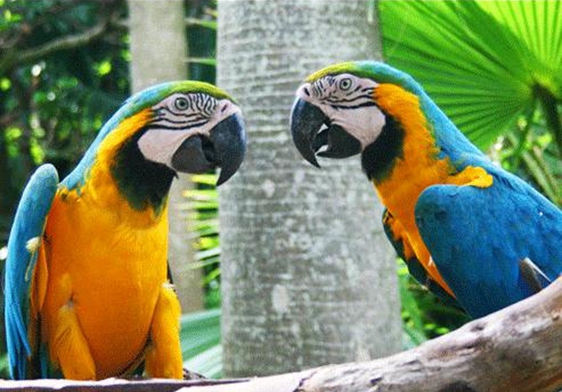 【子ども半額！大人200円割引】長崎鼻パーキングガーデン