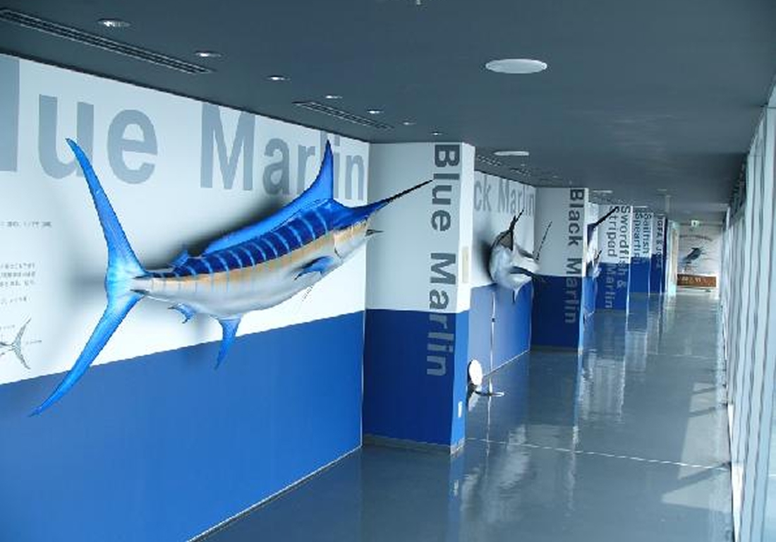 【100円割引】道の駅 開国下田みなと ハーバーミュージアム・JGFAかじきミュージアム