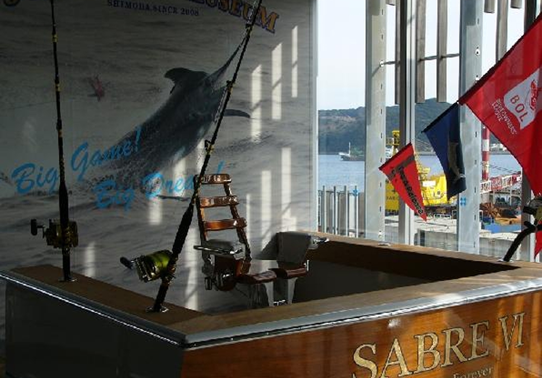 開国下田みなとHC