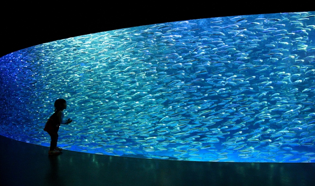 駅近水族館　登別マリンパークニクス