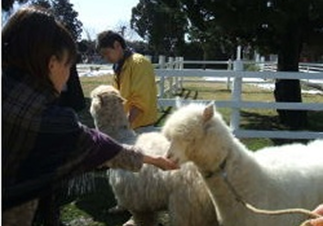 大山トムソーヤ牧場