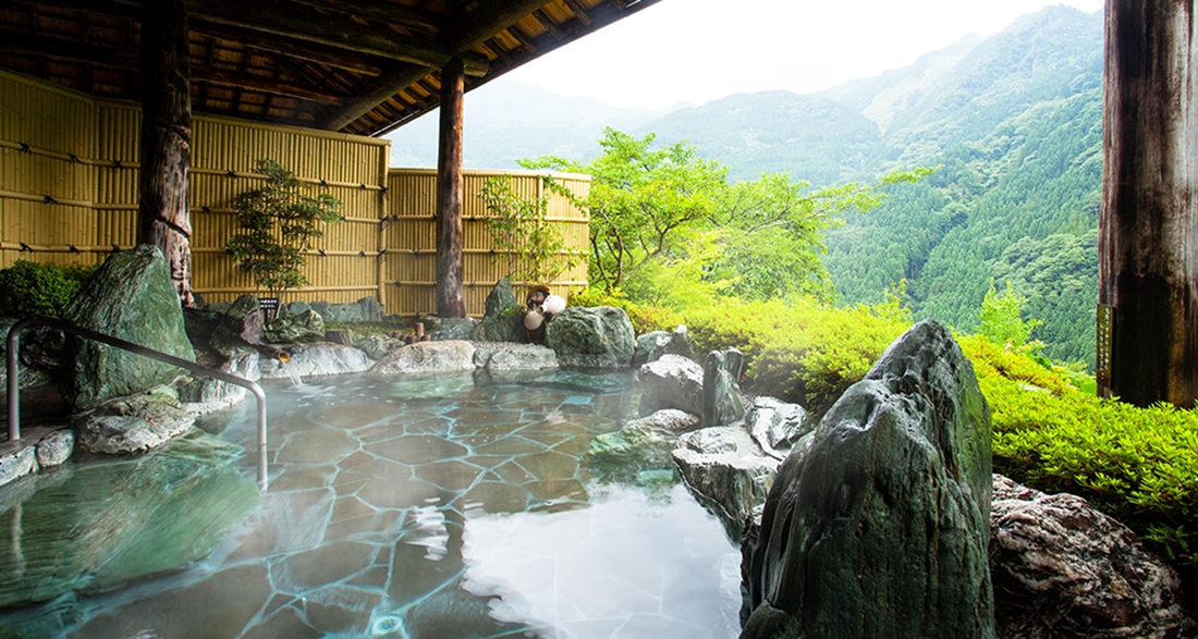 新祖谷温泉ホテルかずら橋
