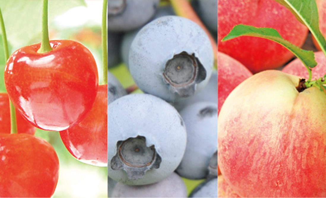 津軽ゆめりんごファーム