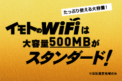 イモトのWiFiレンタル10％割引】銀座×パスポート×海外旅行の必需品の 